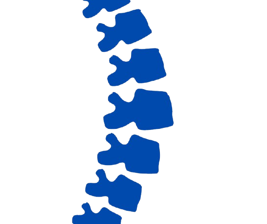 Imagen de columna vertebral