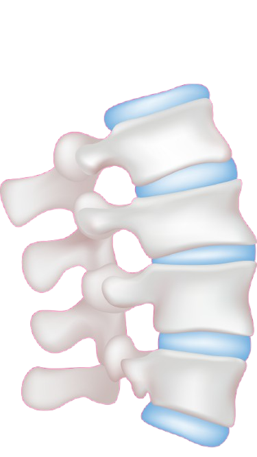 Imagen de columna vertebral